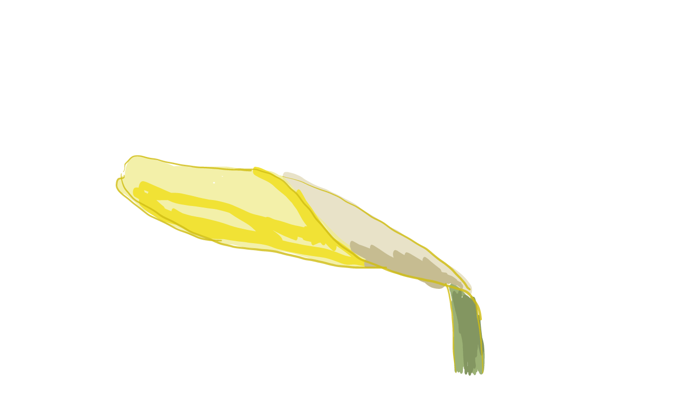 daffodil-test